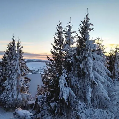 Typique Pres Des Pistes Avec Cheminee Et Parking Prive - Fr-1-814-31 * Besse-et-Saint-Anastaise